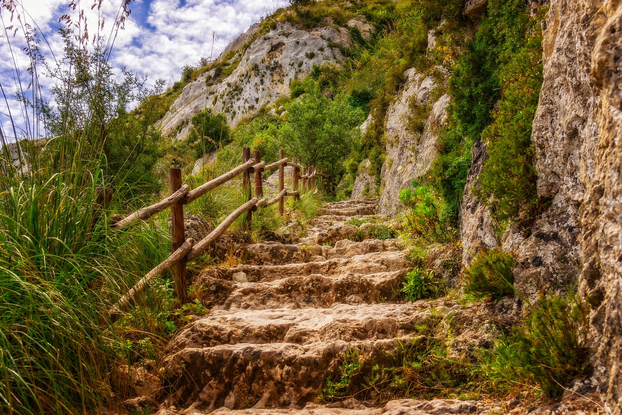 福建大菠萝: 探寻隐藏在果园中的甜蜜秘密