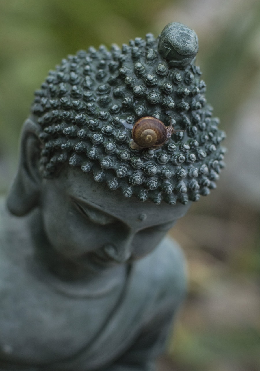 赤金宝箱大揭秘，究竟值不值得一探？