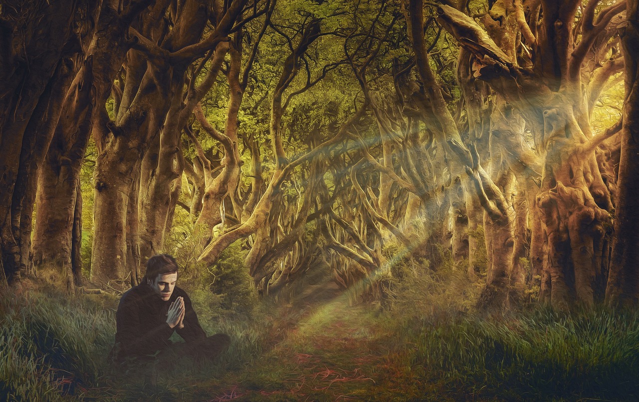 与僧侣交行合的之夜: 祈祷与冥想的神圣仪式