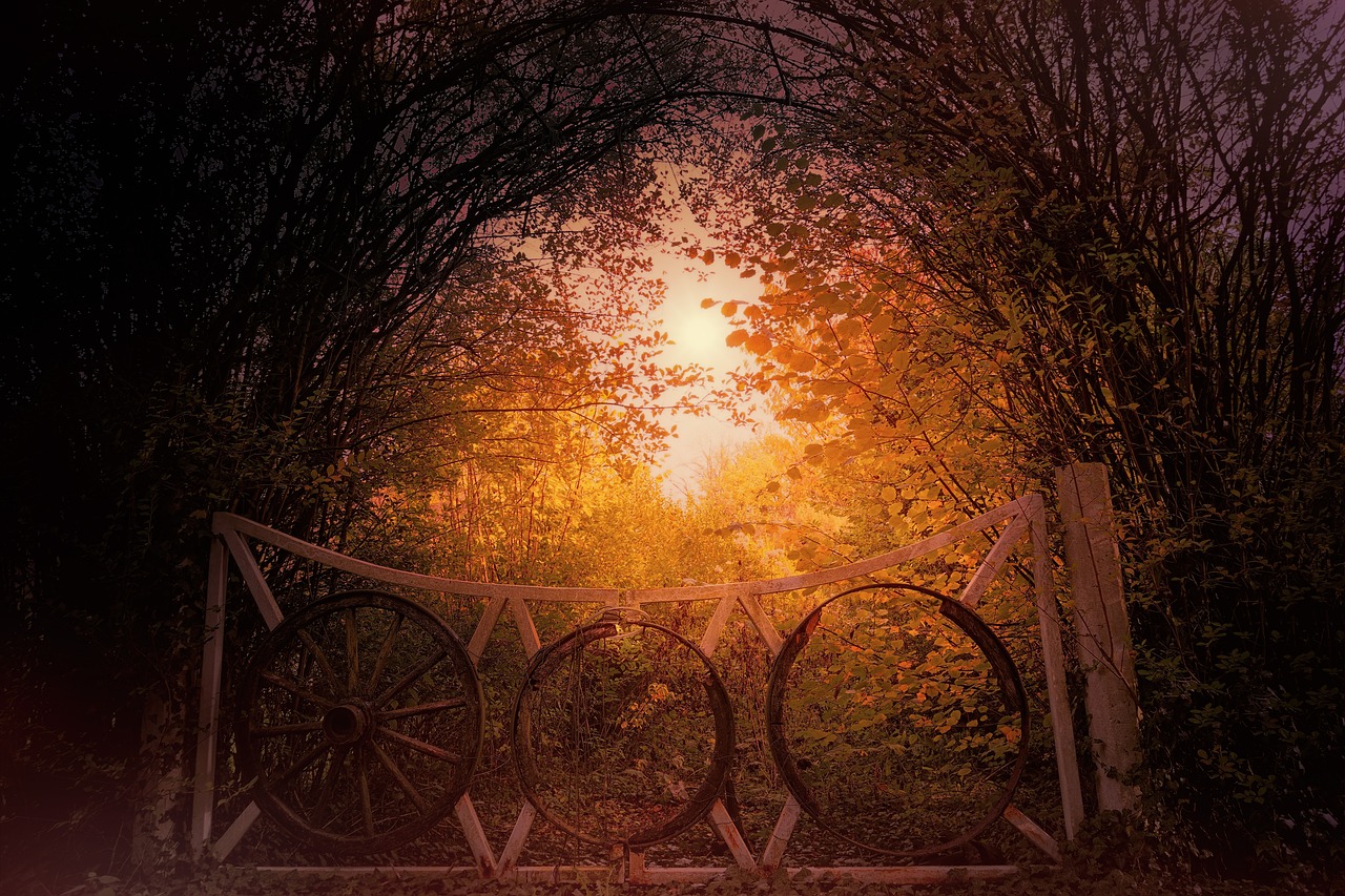 午夜优质福利: 解锁夜间生活的秘密与乐趣