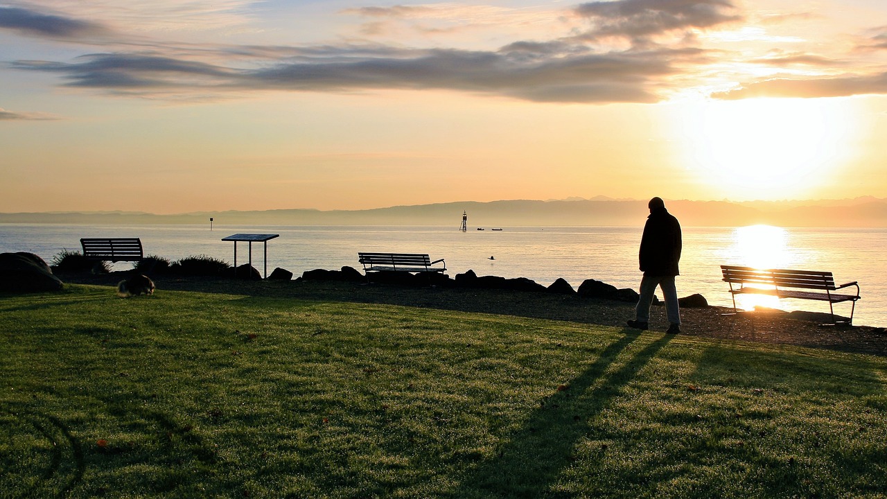 99夜色: 如何在夜色中找到心灵的平静