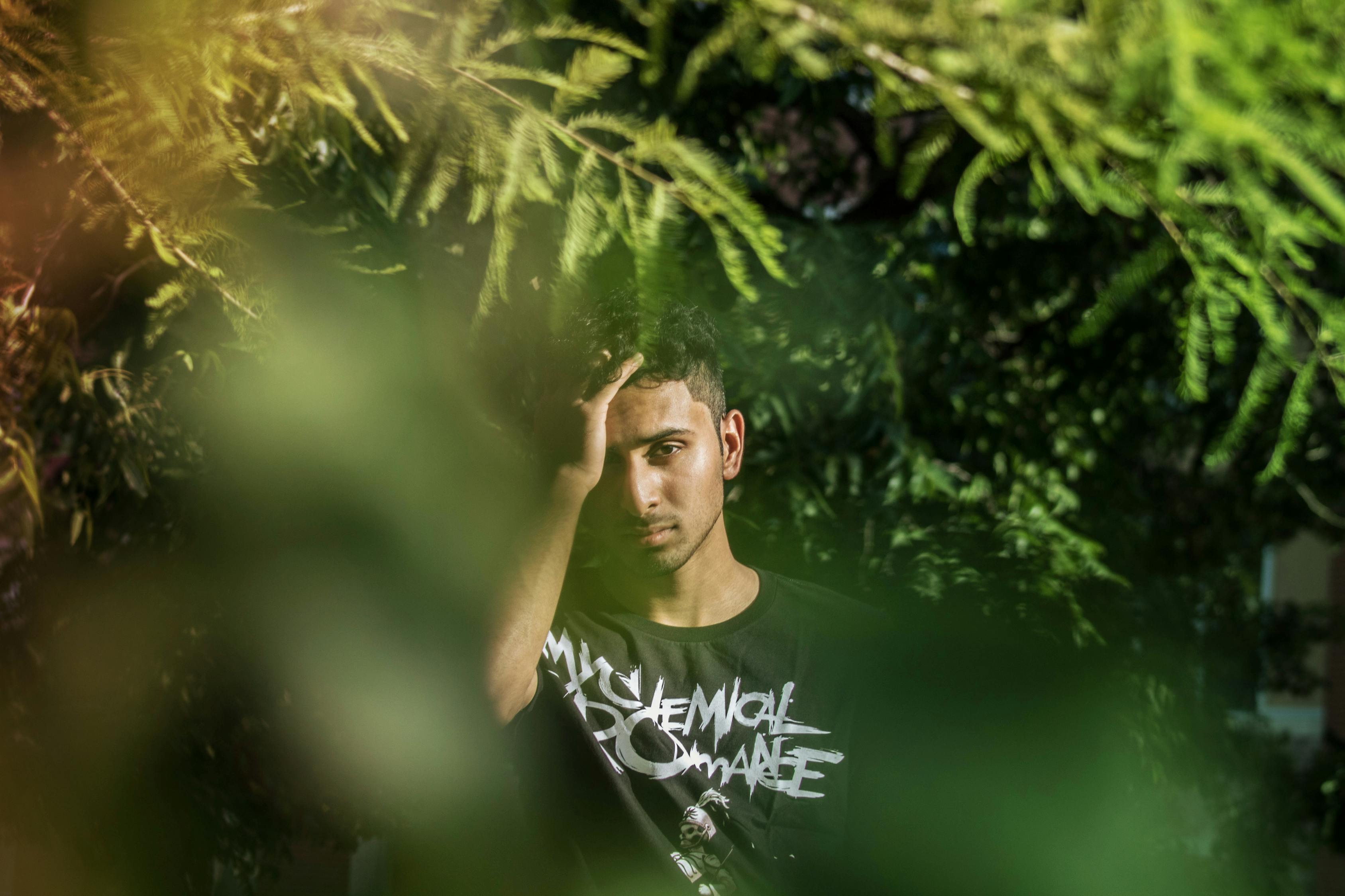 蜜芽忘忧草192 .mon: 释放内心压力的神奇草药