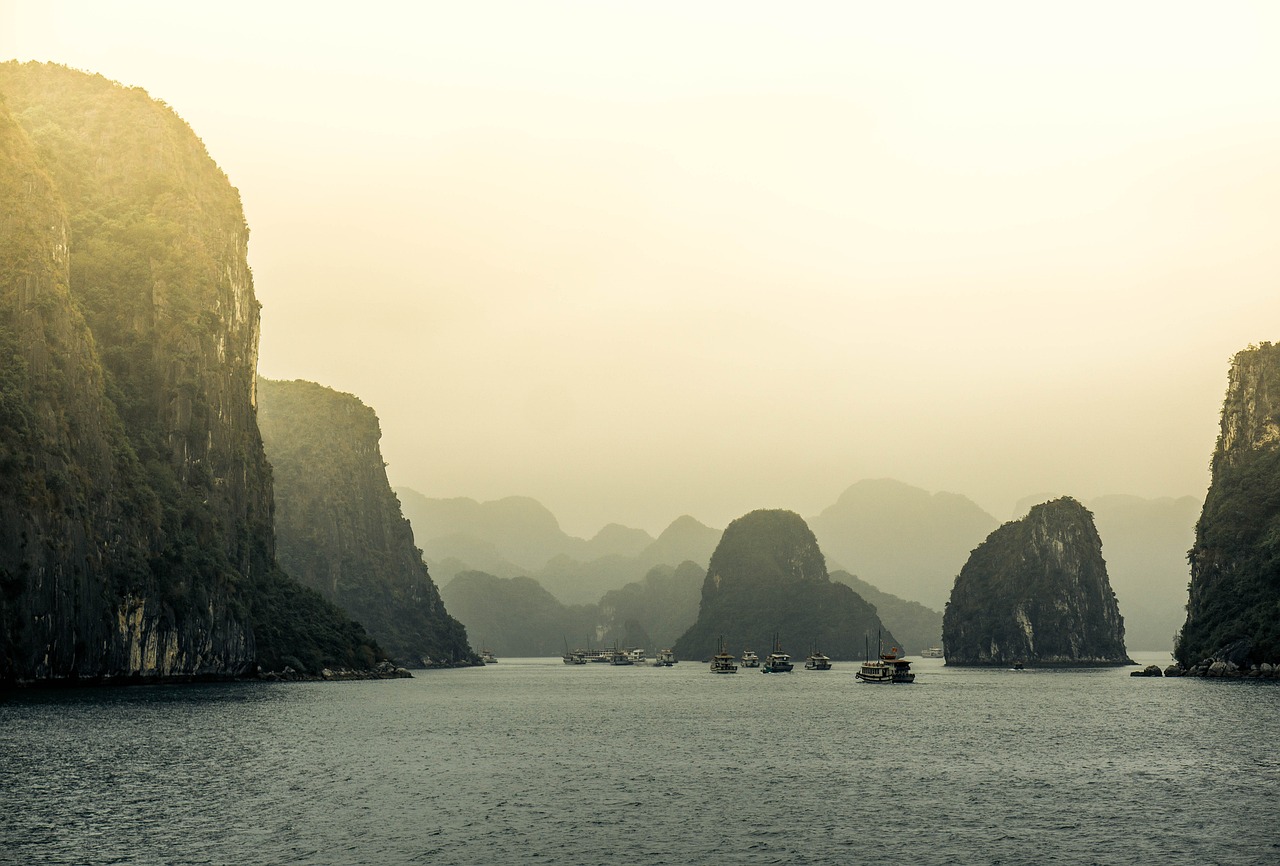 雾海纪行，一场视觉与心灵的冒险之旅