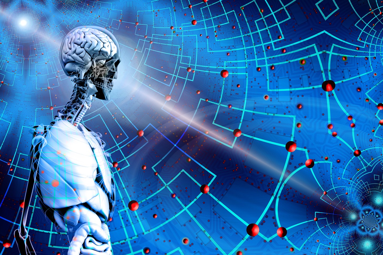 万王之王，霜火法师技能进阶之路