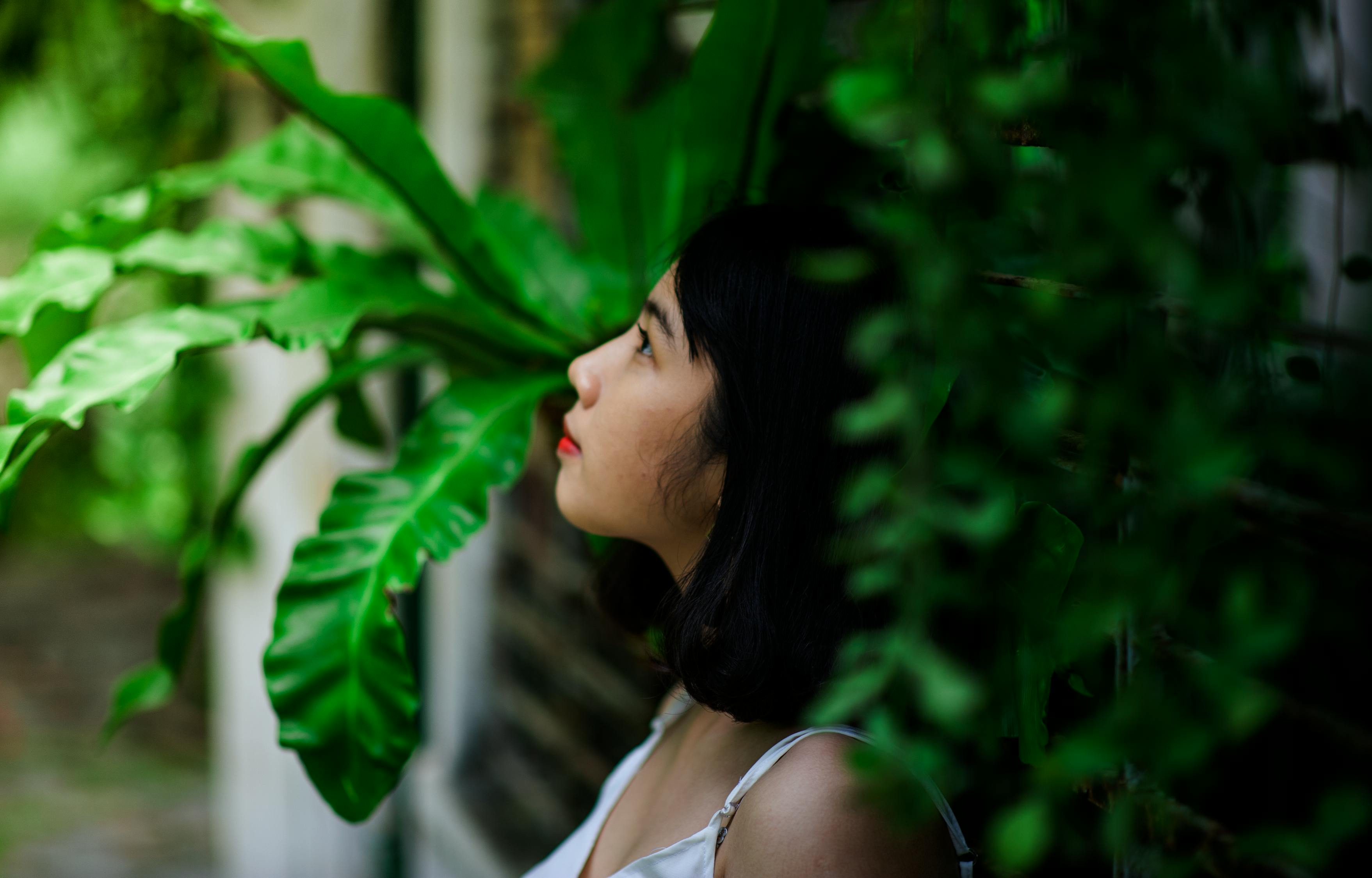 蜜桃天美星空麻豆精东: 一场味觉与视觉的双重盛宴