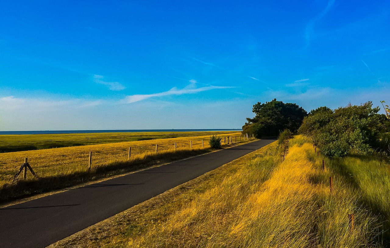 探索未知的边界，gorogoaios下载全攻略