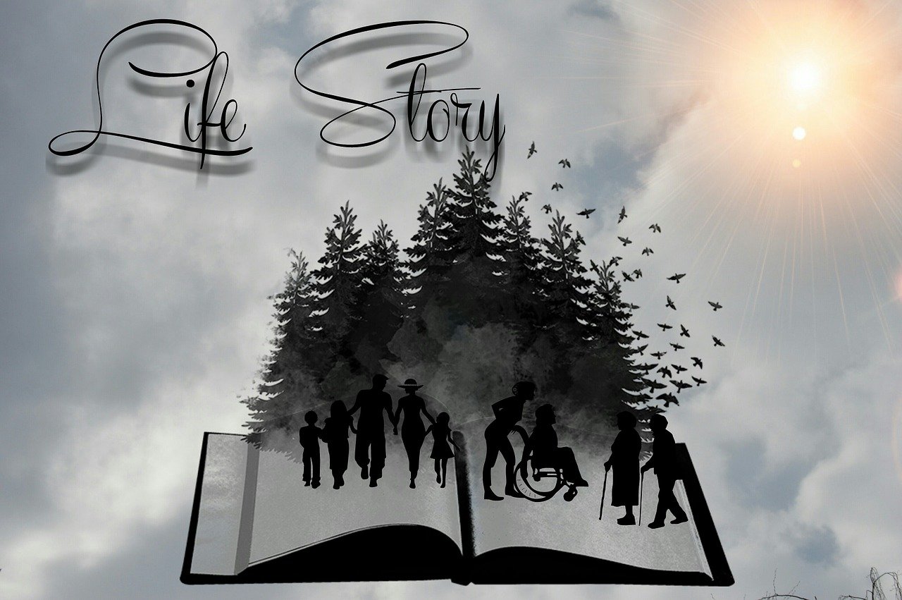 亿万僵尸平原，生存与征服的智慧之书