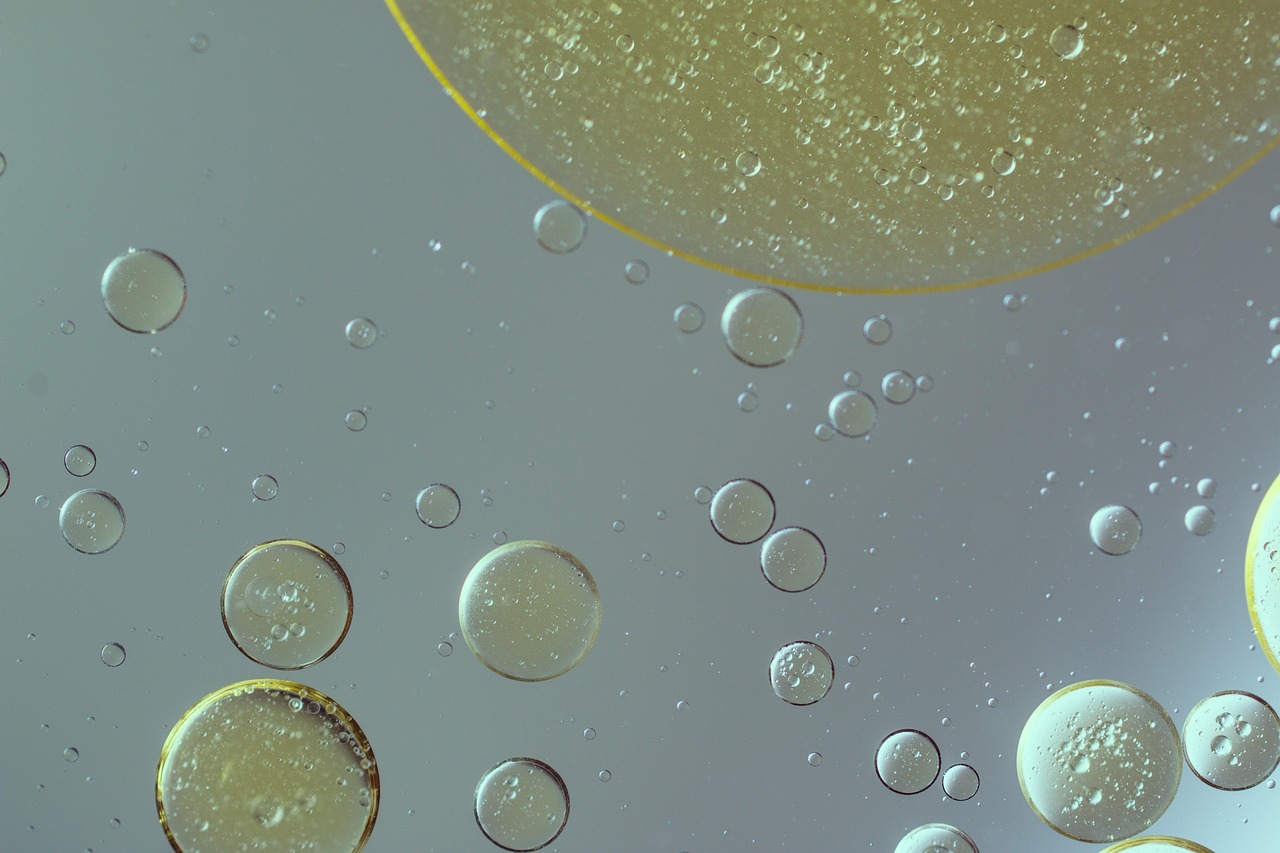 蒲公英根的双面效应，揭秘其潜在副作用