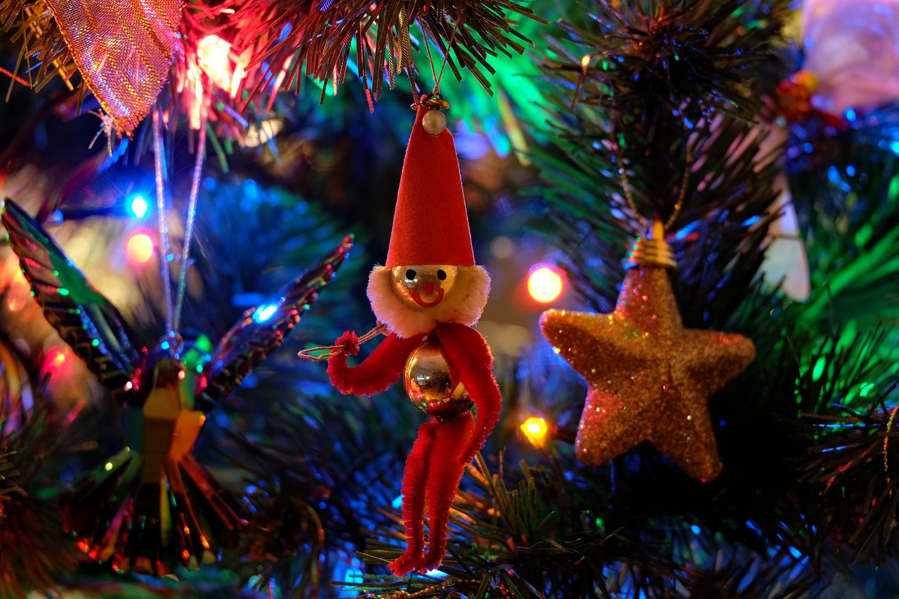 超进化物语神性礼包使用全攻略