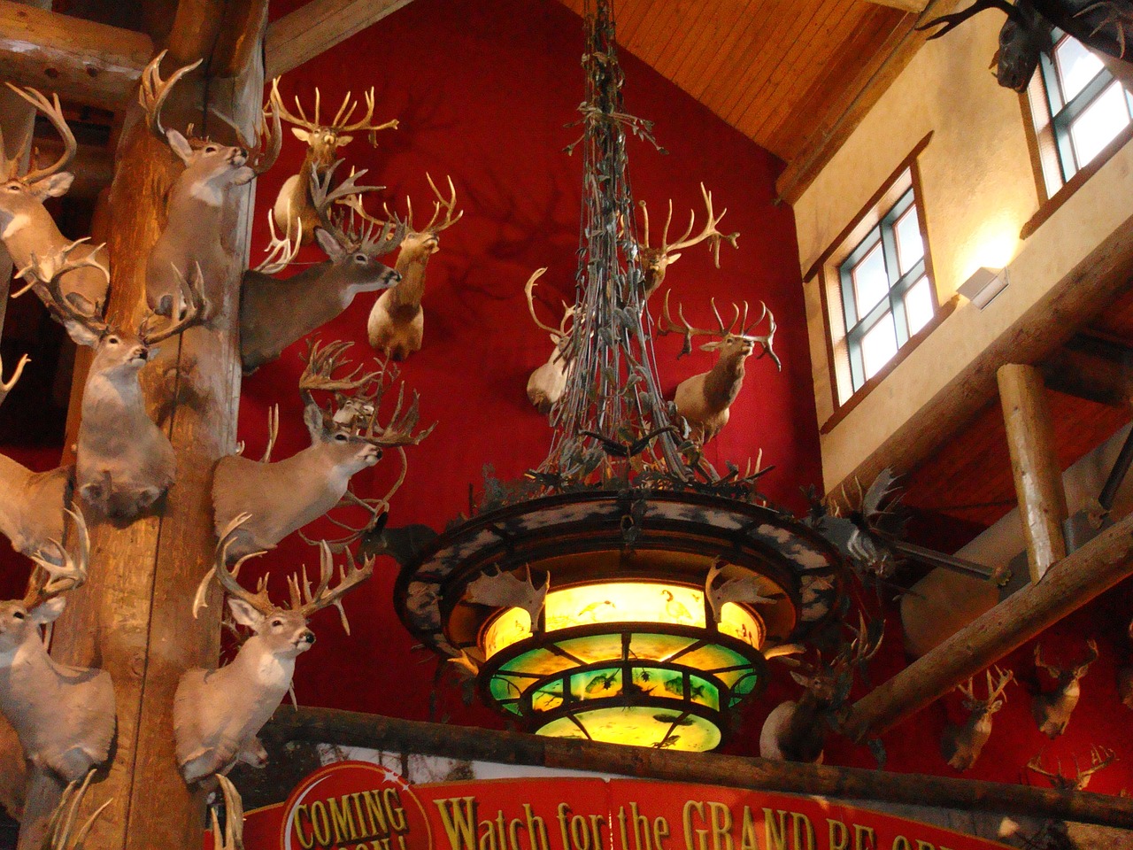 女王降临，游戏中的至高无上角色攻略