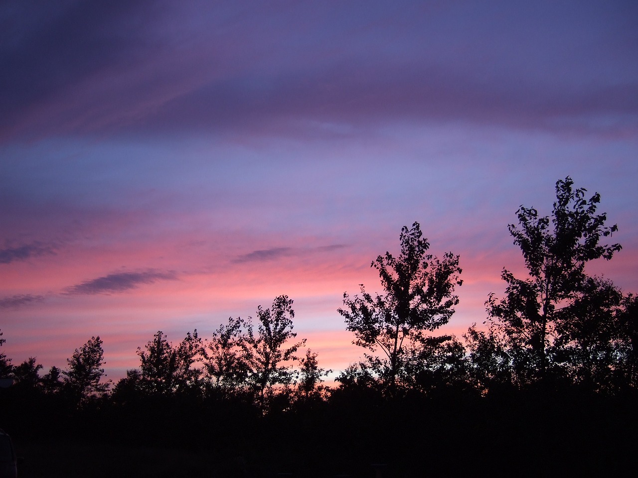 樱花动漫在线观看免费完整版影视: 如何轻松找到你最爱的动漫资源