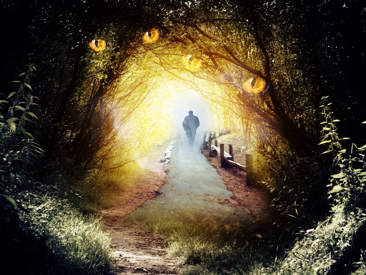 拆家大法，创造与魔法的艺术之旅