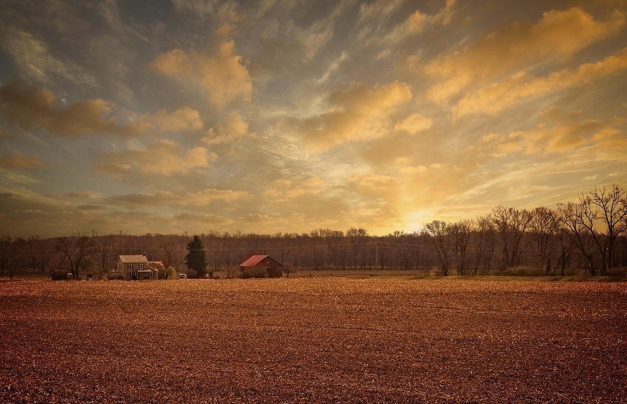 探秘我的世界中的村庄了望塔，守护与眺望的艺术