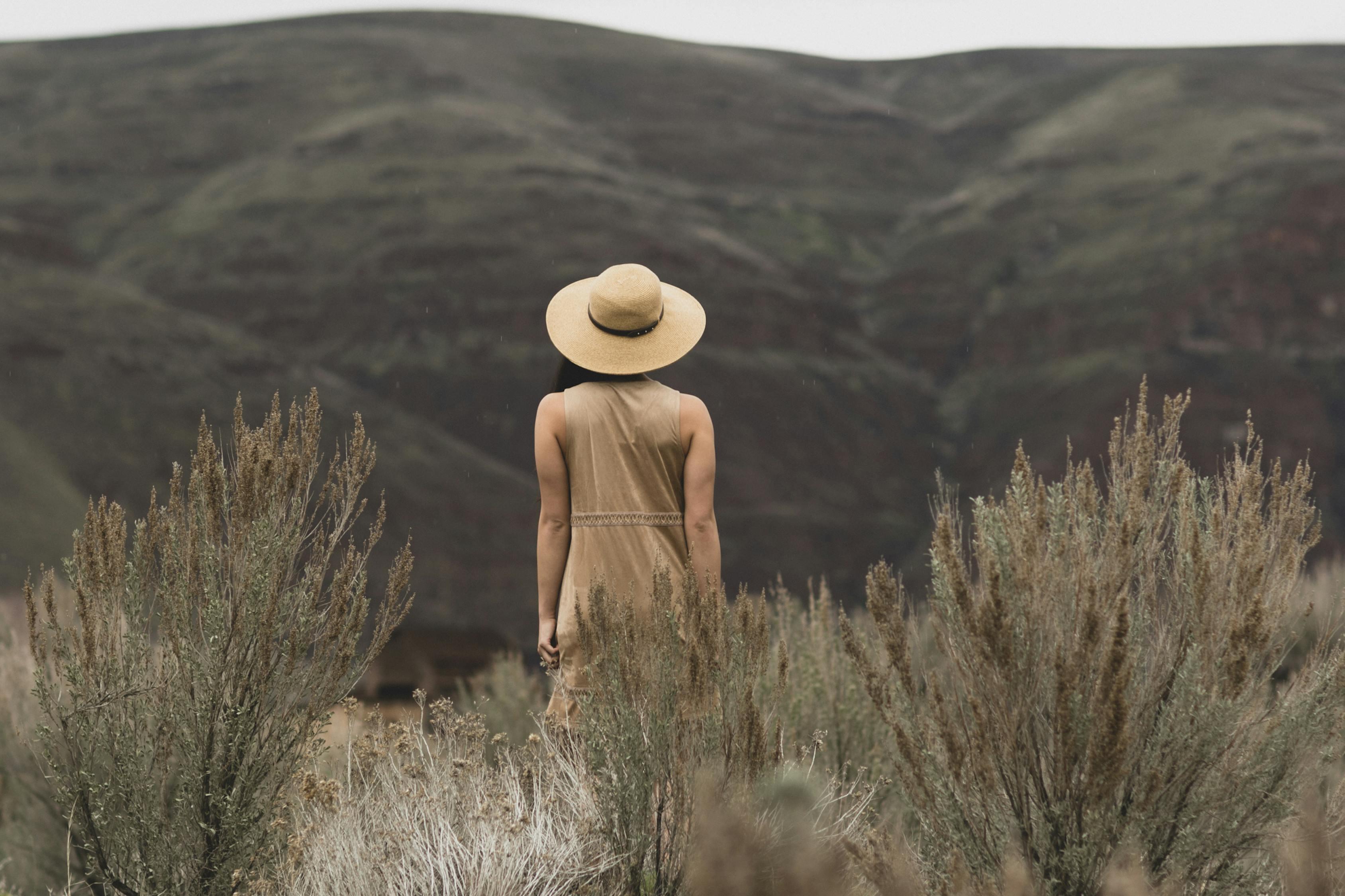 坤吧塞小洞里: 迷失在奇幻的冒险中