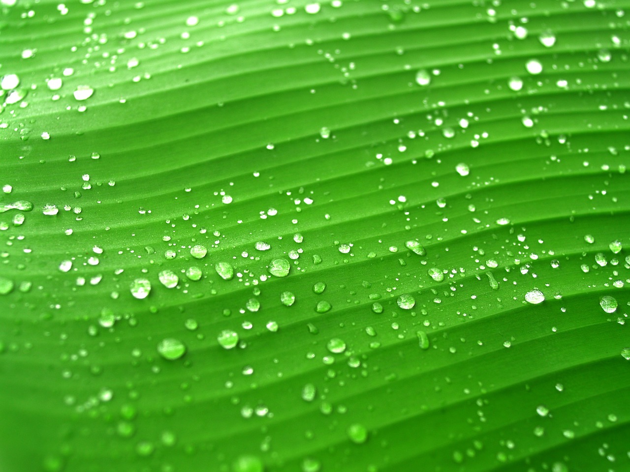 聚色轮网: 如何利用色轮增强你的创作效果