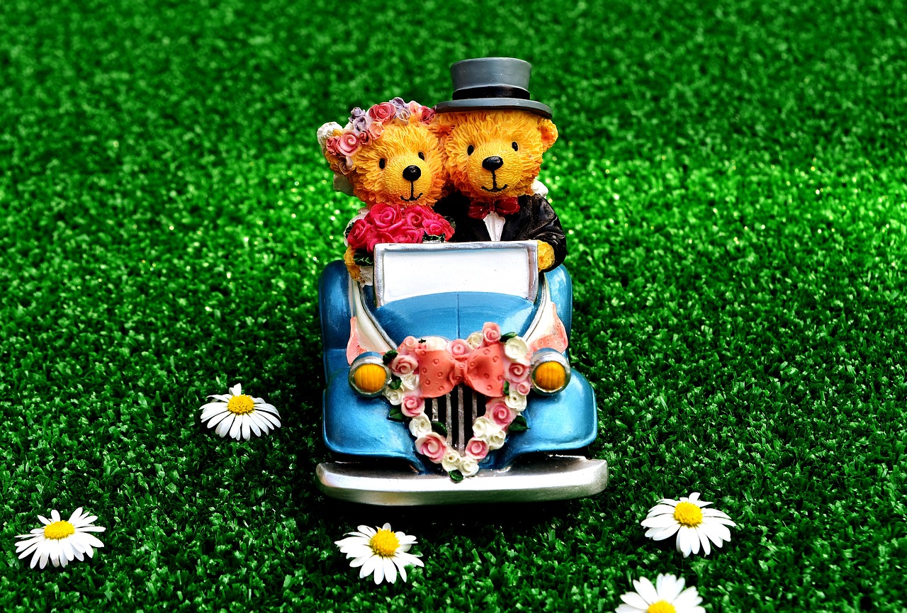 十二生肖的趣味玩法，你get了吗？