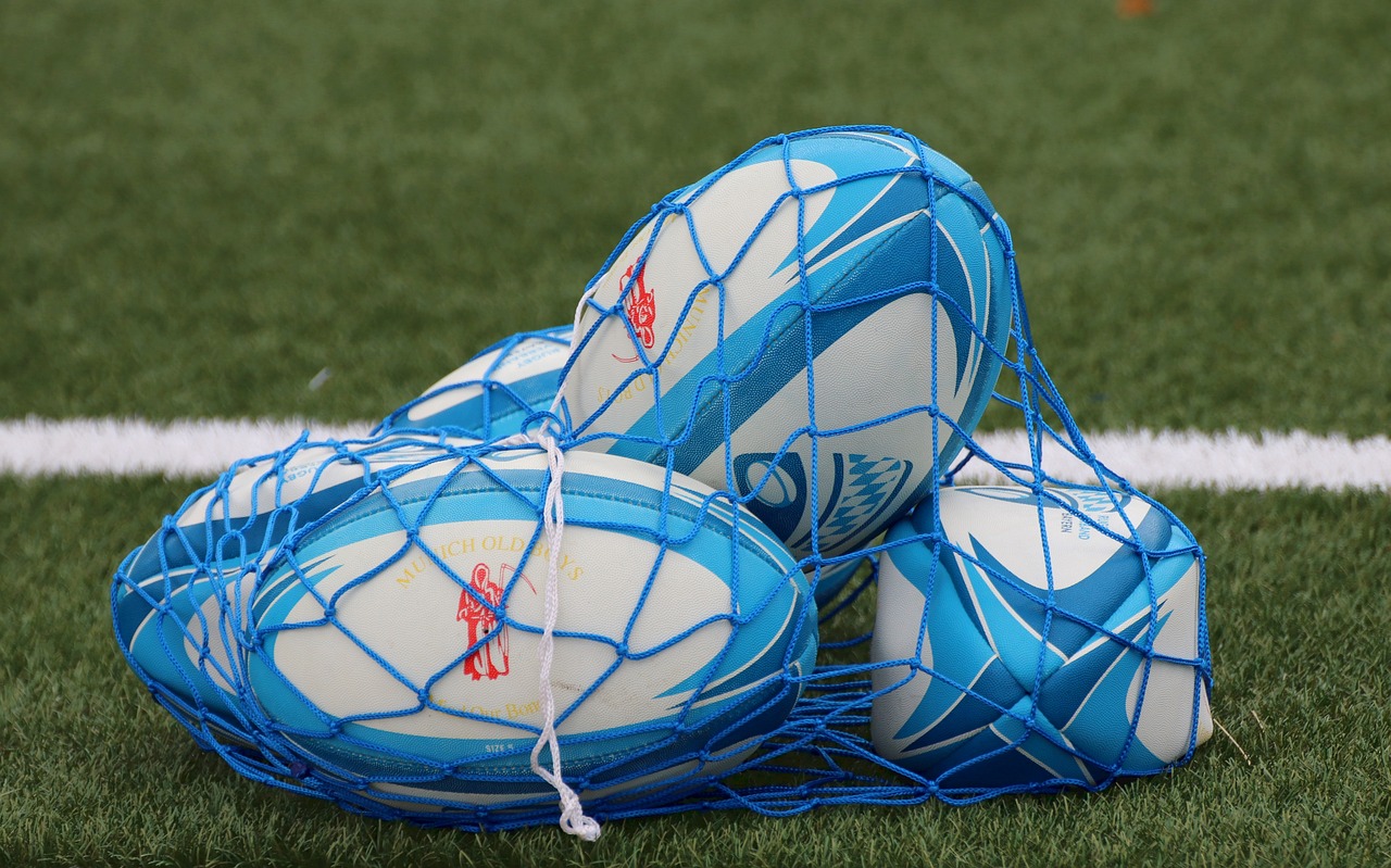 手机橄榄球游戏攻略，从新手到高手的跃迁之路