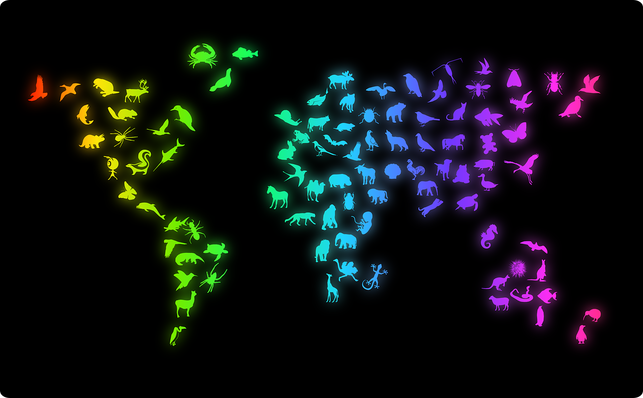 攻略娘闪闪，游戏世界的全能导航星
