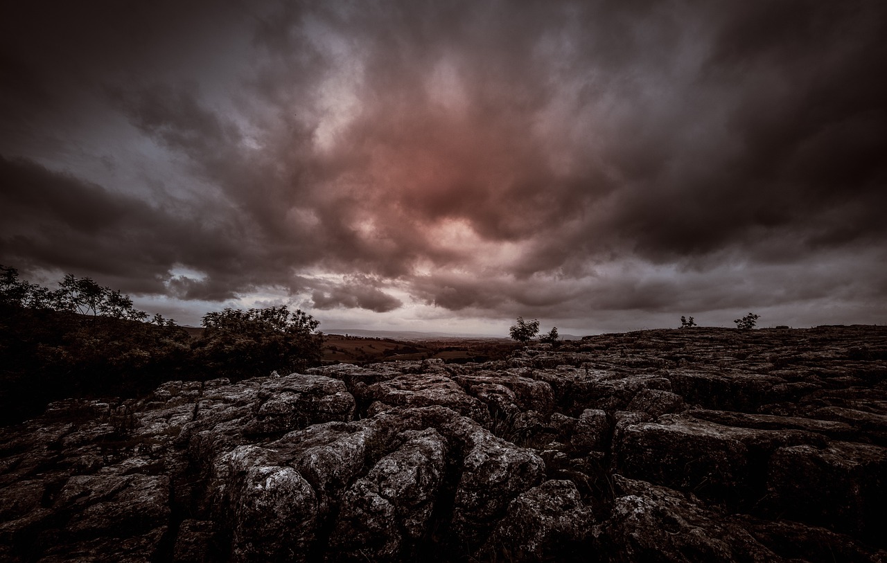 真好看2018中文字幕: 探索影视作品中的语言魅力