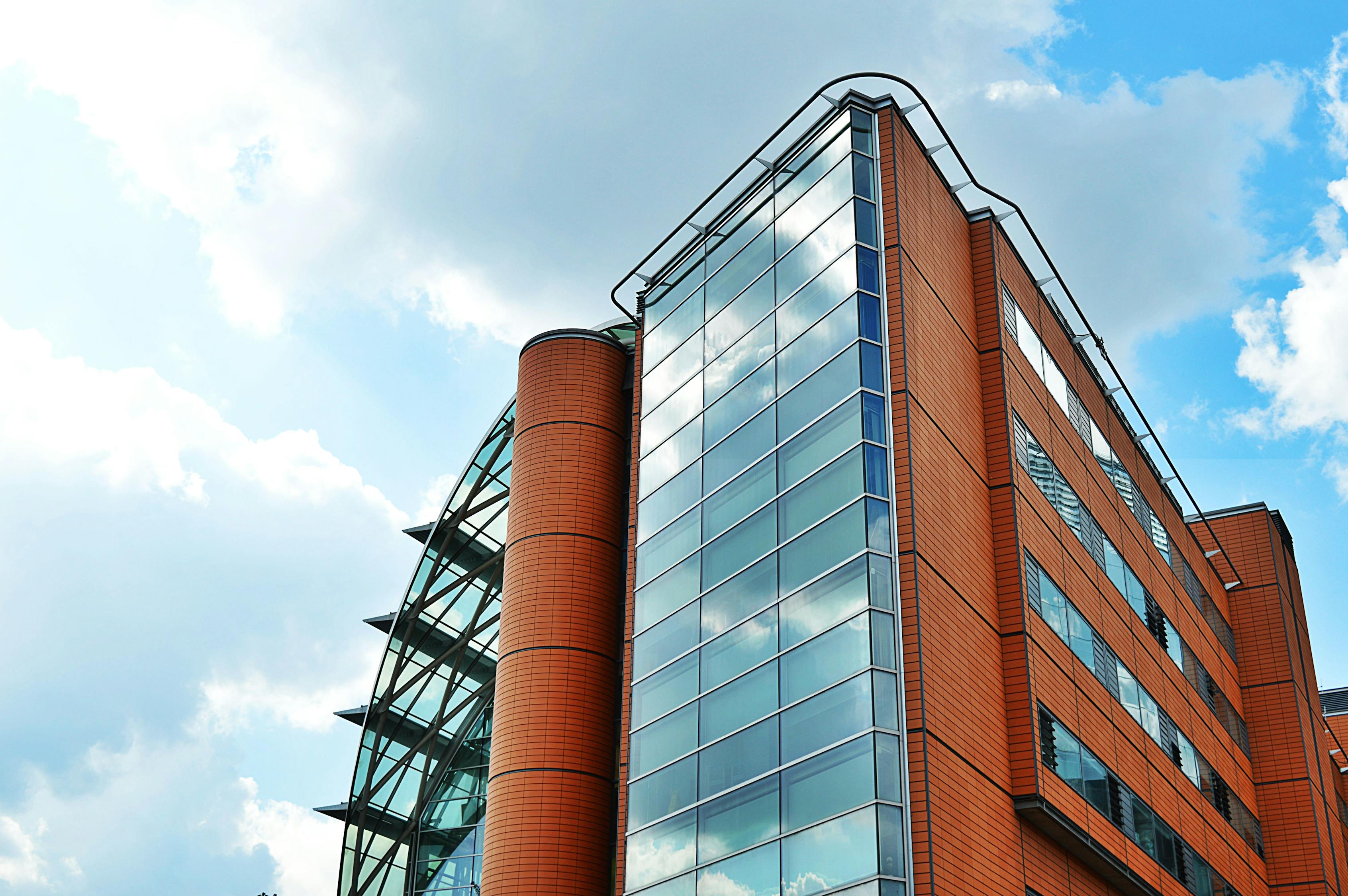 仙踪林company Limited19岁大陆: 探索企业成长的秘密与挑战