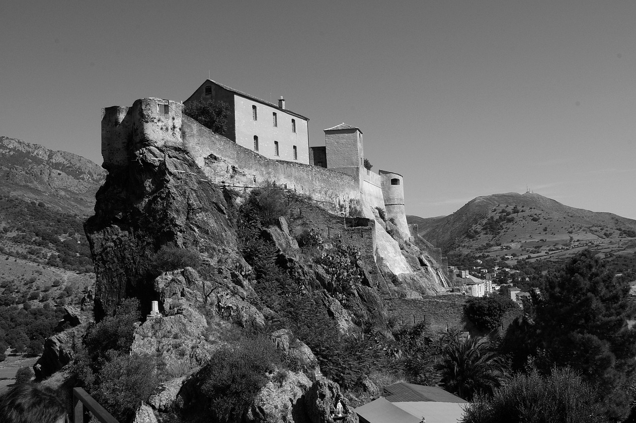 欢迎来到巨汝精灵森林第一集: 发掘迷失在时间里的古老传说