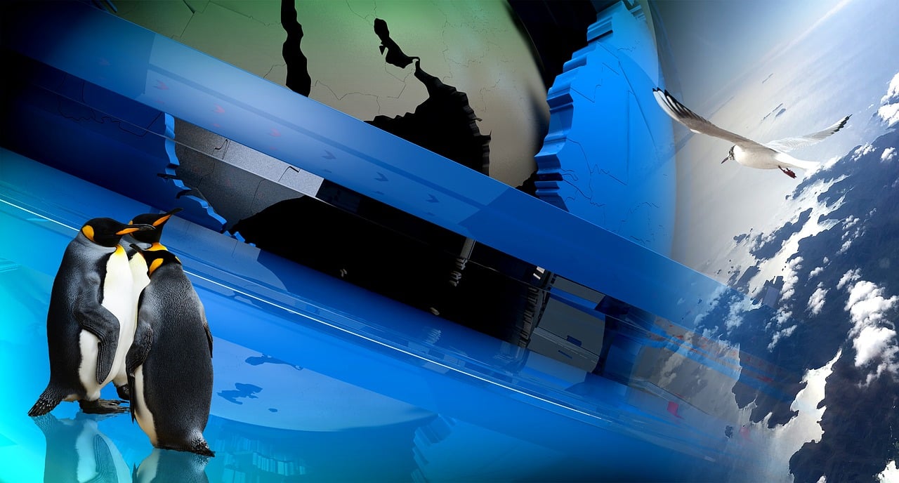 天天酷跑,音乐相伴!酷炫背景音乐下载全攻略 天天酷跑,音乐相伴!酷炫背景音乐下载全攻略