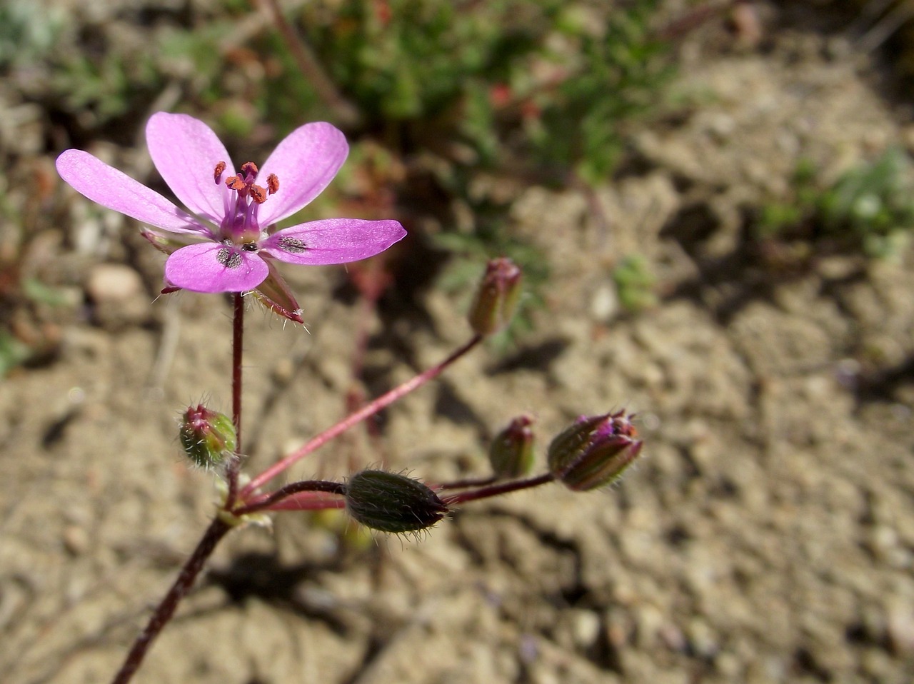 我给女开嫩苞: 让心灵绽放的瞬间 我给女开嫩苞: 让心灵绽放的瞬间