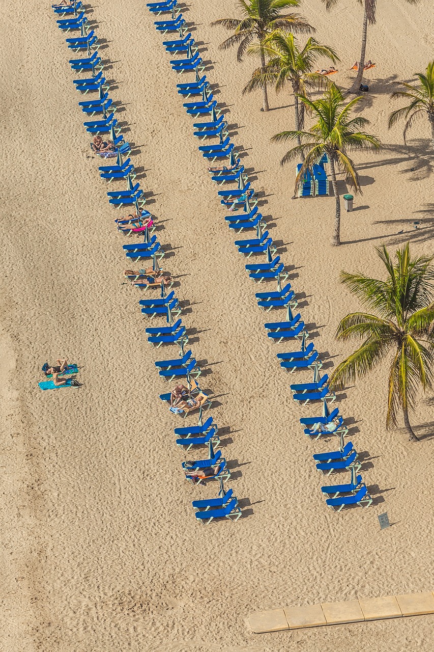 侠义世界,江湖秘籍与攻略全揭秘 侠义世界,江湖秘籍与攻略全揭秘