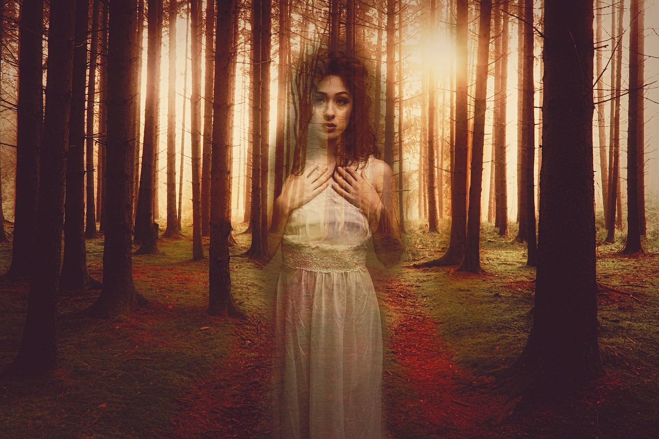 阿瓦隆角色牌，一场说谎与推理的较量