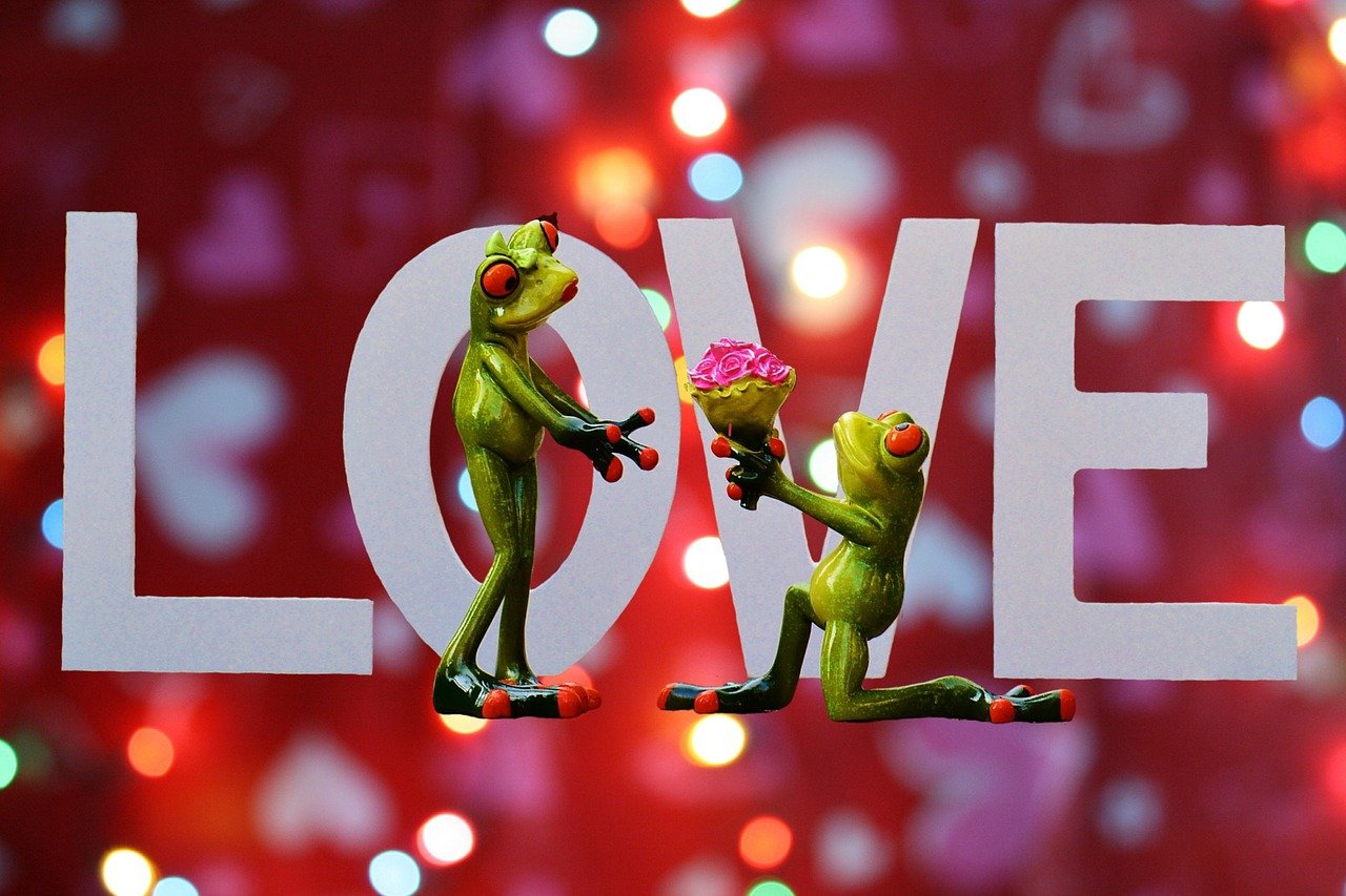 拔萝卜视频免费观看: 一起分享快乐与欢笑的最佳平台