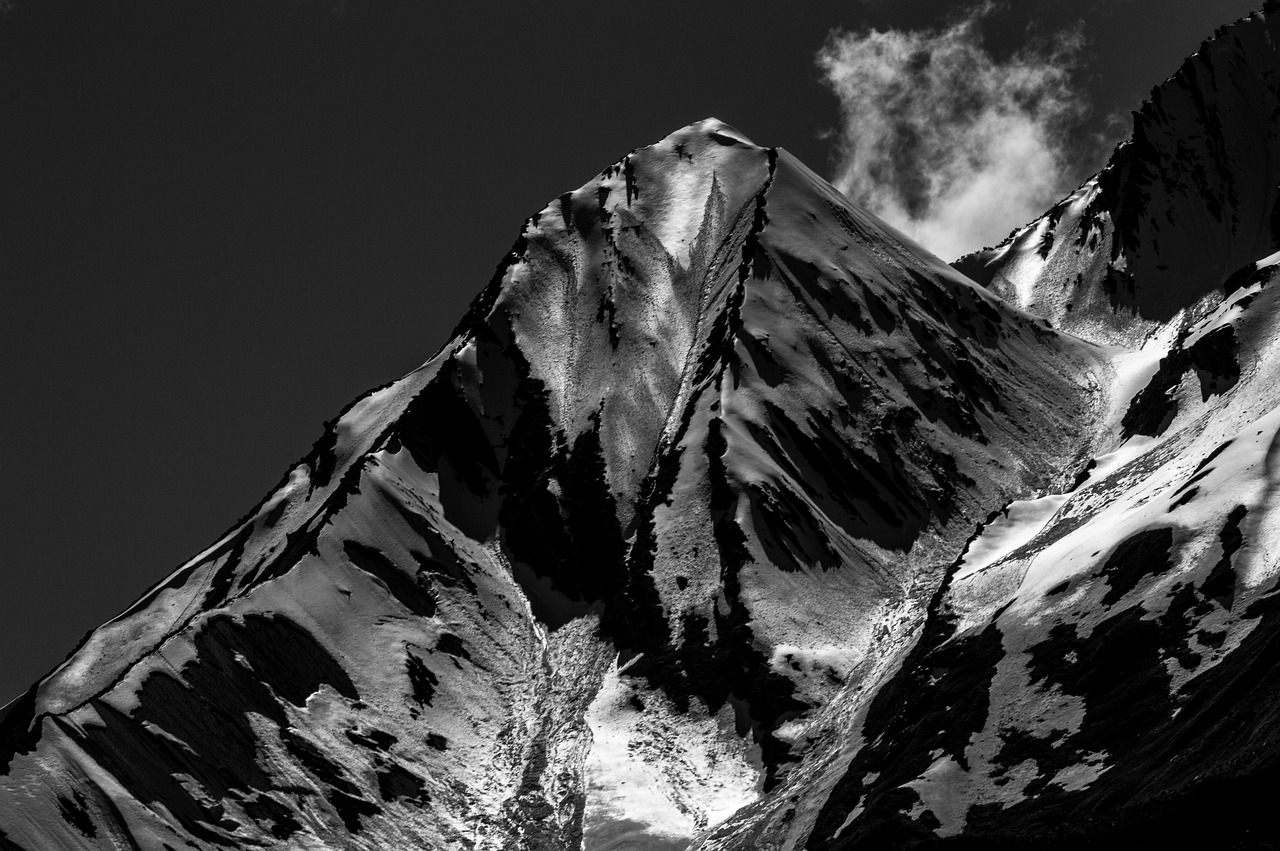 鹤观解密石头，揭开游戏世界的神秘面纱