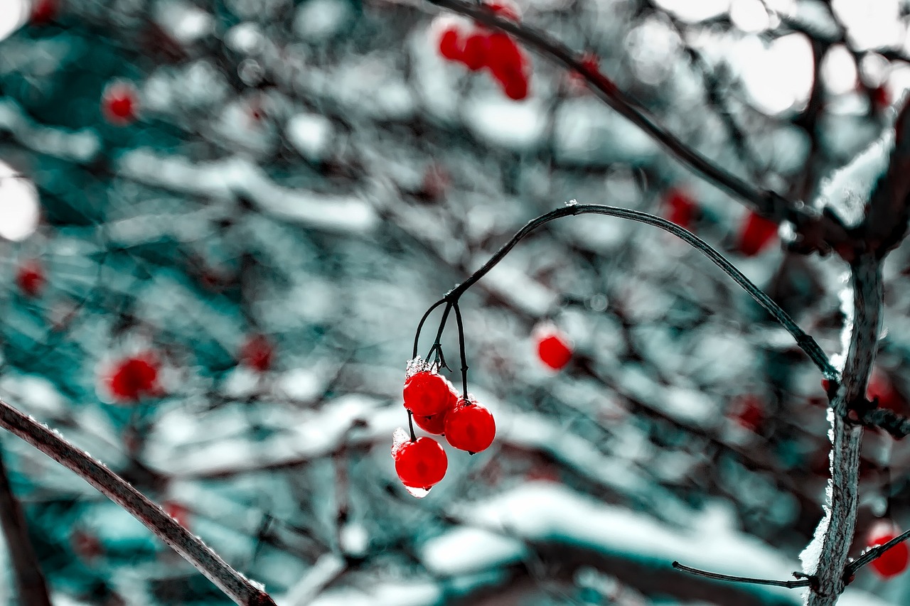 唐诗宋词请点此进入导航: 探索古典诗词的绚烂世界