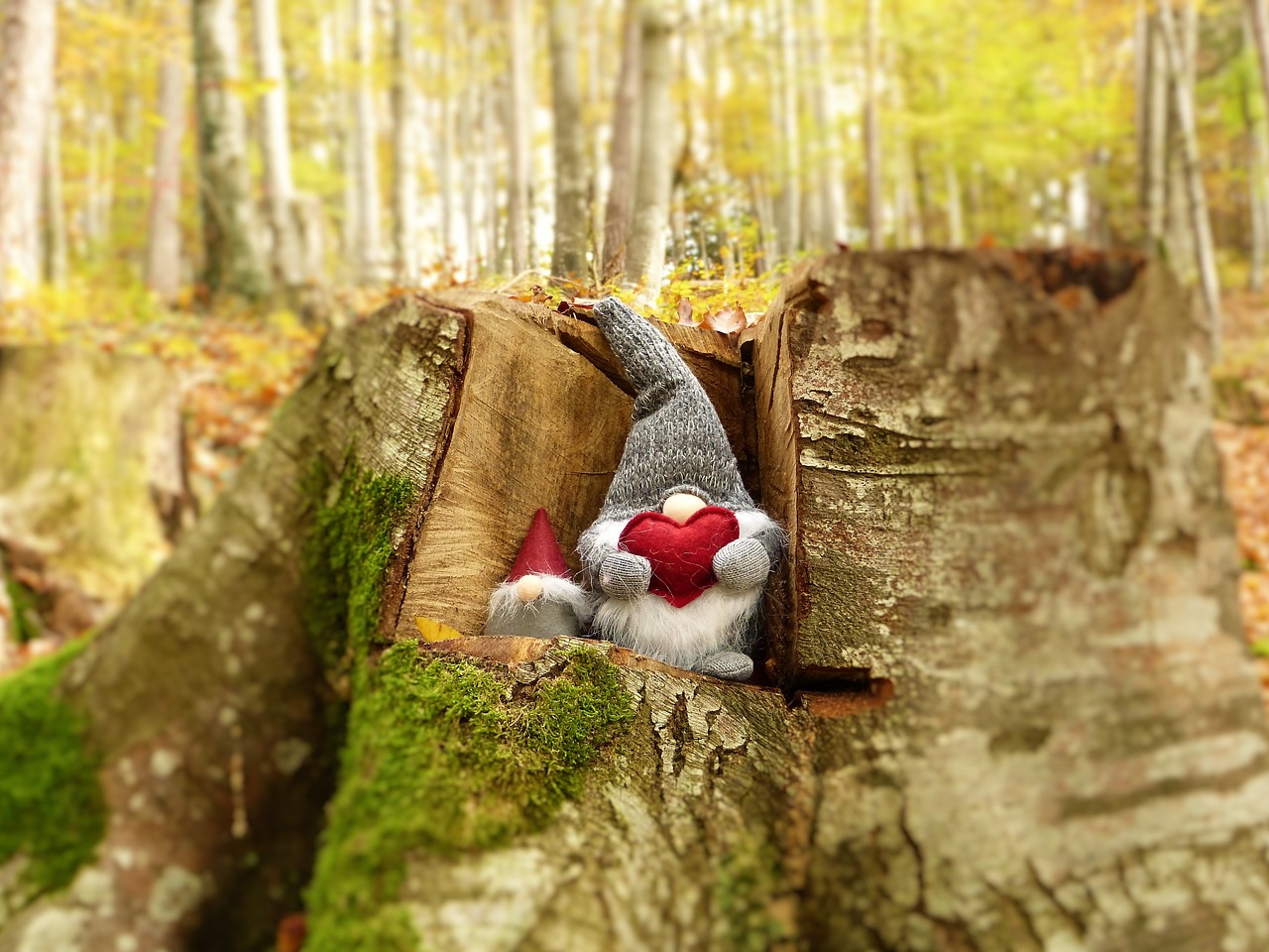 精灵传说，解锁自然之谜的攻略宝典