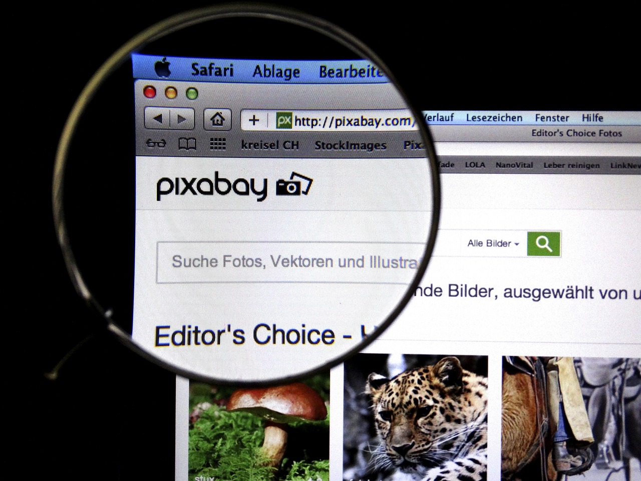 黄色视频免费观看下载: 轻松下载你喜欢的激情视频