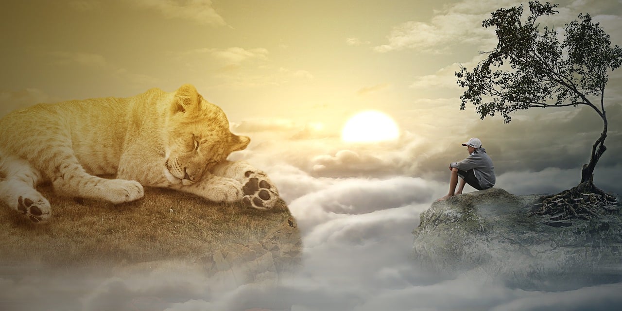 第三按摩室: 一次关于平静与宁静的旅程