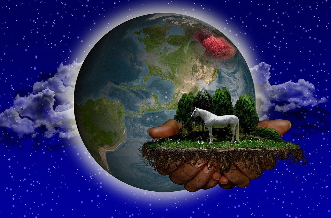 穿越虚拟世界,纯文字打怪升级的冒险之旅! 穿越虚拟世界,纯文字打怪升级的冒险之旅!