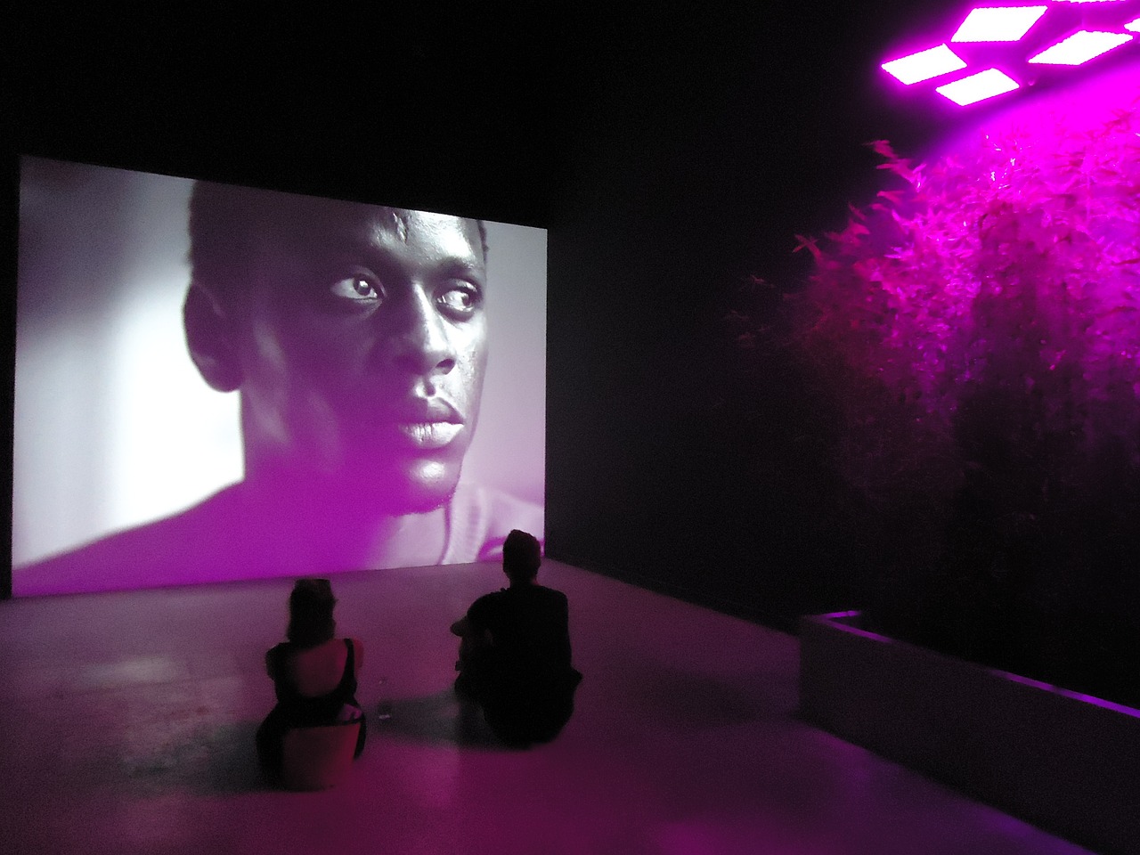 萱萱视频网: 影视爱好者的必备在线观影神器