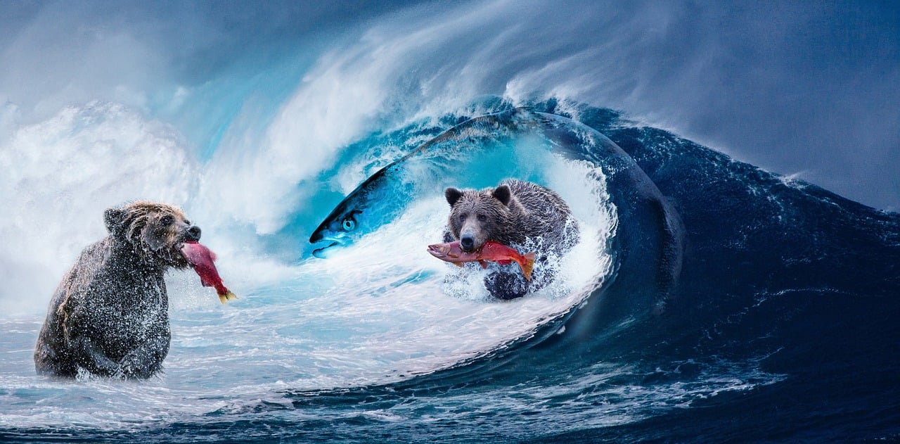 征服游戏世界，寄生天使全攻略